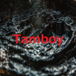 Tamboy